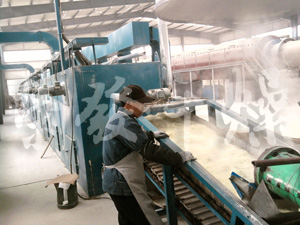 催化劑帶式干燥機工程