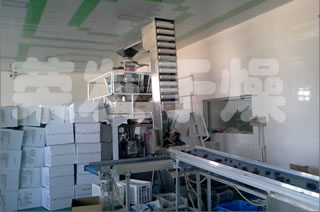 紅棗專用帶式烘干機生產線